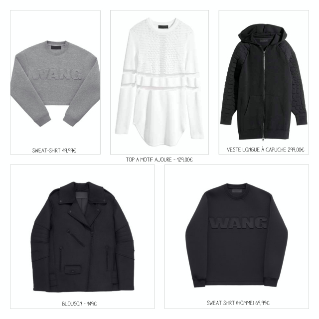 6104_sl_209_120626532_north_545x_fotor_fotor